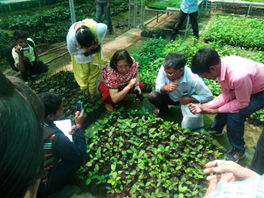 Agri Teachers Training Program in Assam